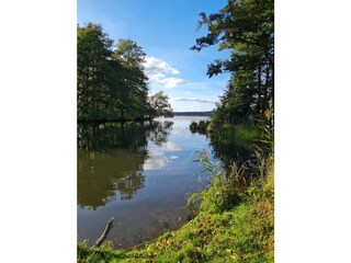 Blick auf die Spree aus dem Neuendorfer See