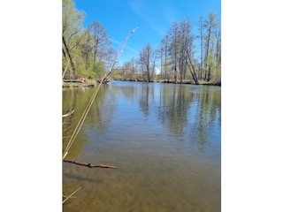 Frühling an der Spree