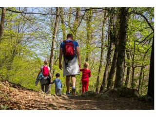 Spazieren gehen und Wandern direkt vor der Haustür