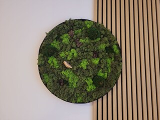 Holiday apartment Plau am See Features 14