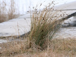Sandy beach at the "Beech Resort" (public, 3 km away)