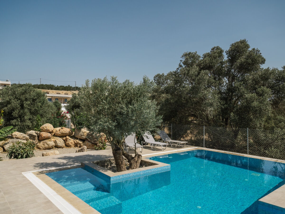 Villa Efthimia: Pool