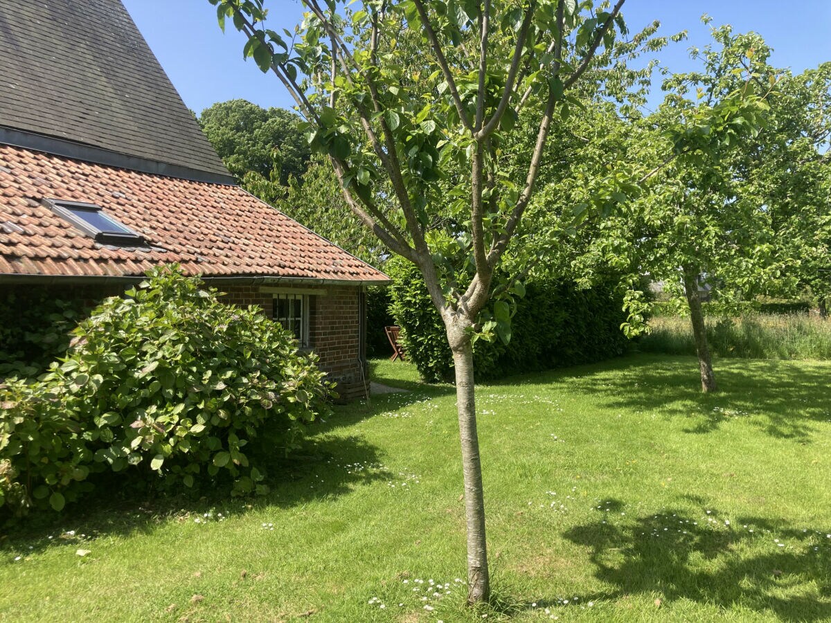 Ferienhaus Varengeville-sur-Mer Umgebung 36