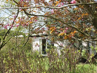 Vakantiehuis Julianadorp Buitenaudio-opname 6