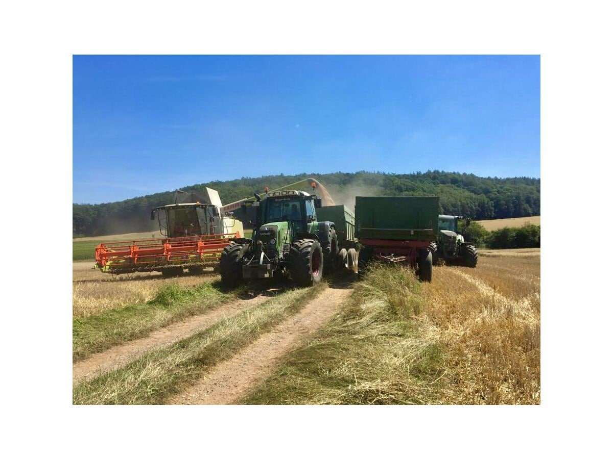 Landwirtschaft erleben: Im Sommer ist Erntezeit!