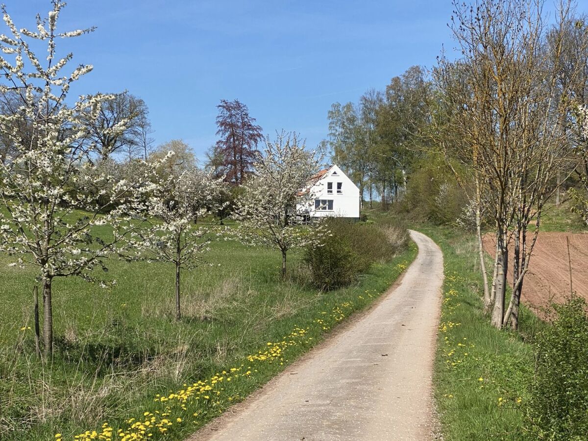 Im Frühling blühen unsere Obstbäume