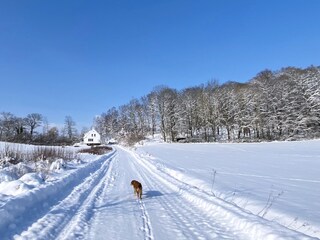 Winter auf dem Biohof