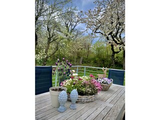 Auf der Terrasse mit Blick in den Frühlingsgarten