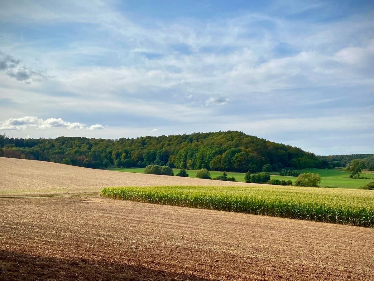 Biologisch bewirtschaftete Ackerflächen