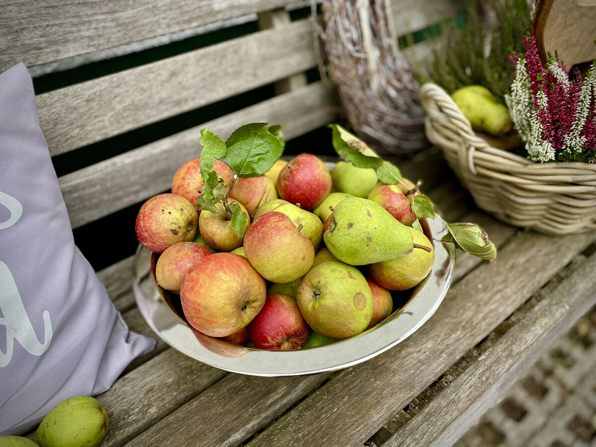 Eigene Obsternte im Herbst