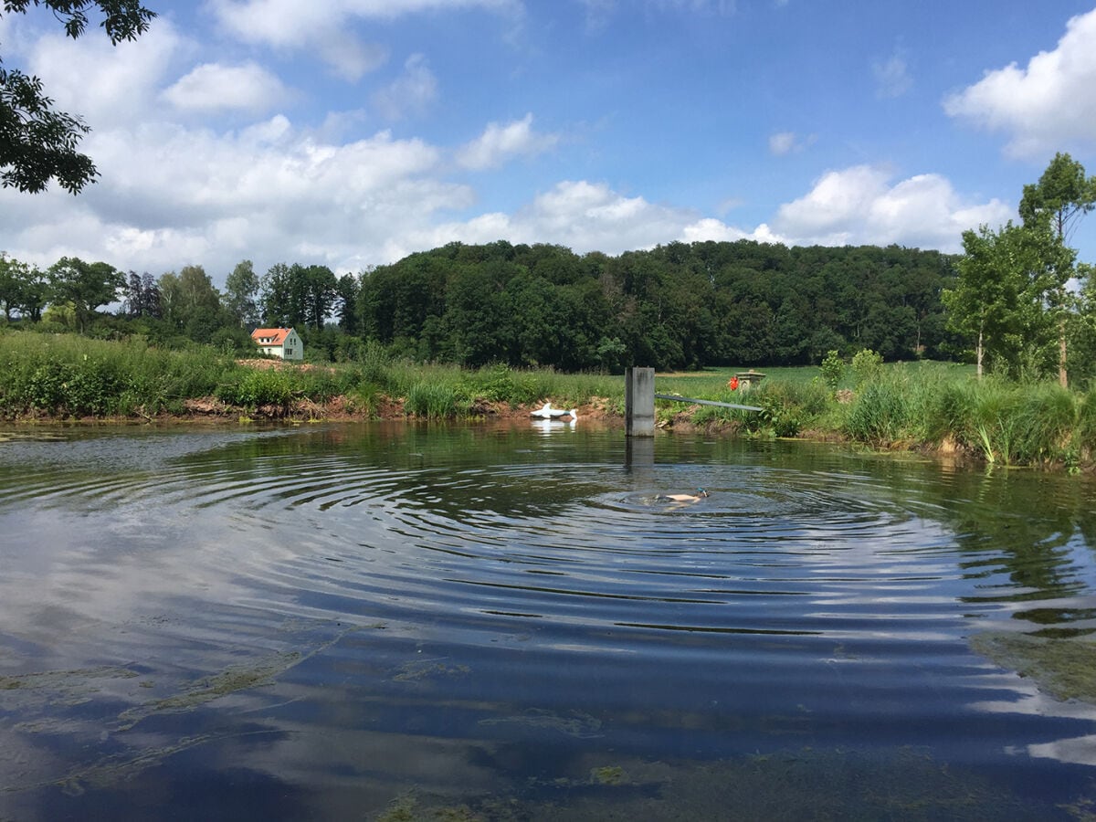 Schwimmen und Angeln