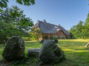 Ferienhaus Altes Müllerhaus in Köhn - Schwartbuck - image1