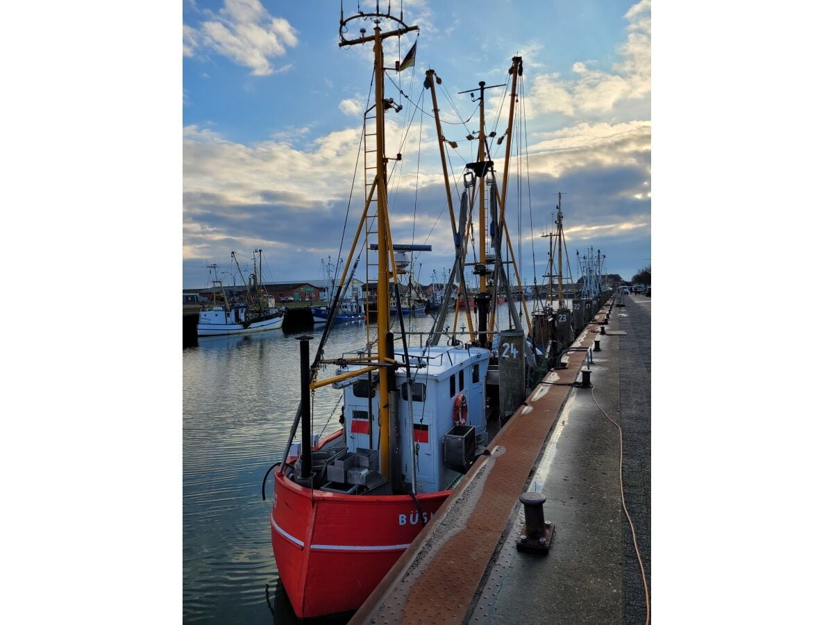 Blick auf den Hafen