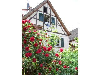 Appartamento per vacanze Spirkelbach Registrazione all'aperto 4