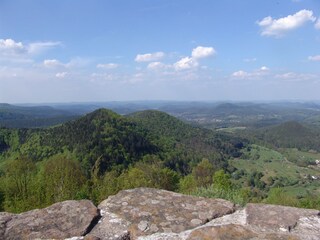 Der Pfälzerwald-zu unrecht selten begangen......