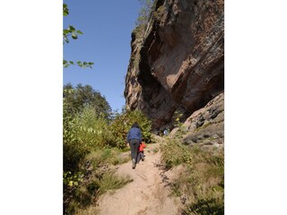 ..auf Pfaden den Pfälzerwald erkunden...