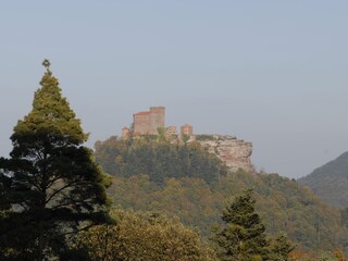 Der Trifels- in unmittelbarer Nähe- ein MUSS