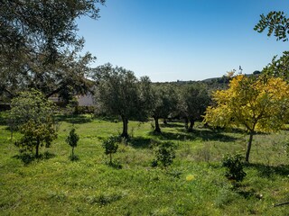 Casa per le vacanze Santa Bárbara De Nexe Registrazione all'aperto 4