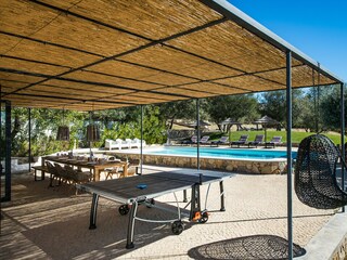 The ping pong table