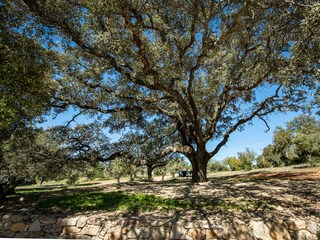 Casa per le vacanze Santa Bárbara De Nexe Registrazione all'aperto 19