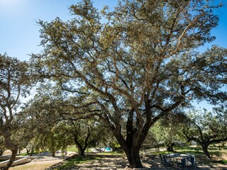 Casa per le vacanze Santa Bárbara De Nexe Registrazione all'aperto 20