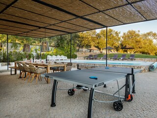 The ping pong table