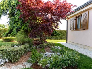 Villa Nova Vas Ambiente 24