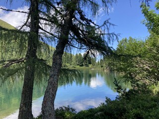 Sommertag am Scheiblsee