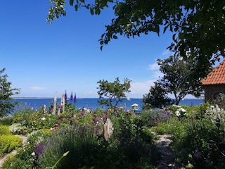 ... in den Garten auf das Meer ...
