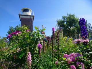 ... und dem Leuchtturm ...