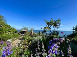 Casa de vacaciones Heiligenhafen Grabación al aire libre 17