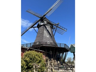 Maison de vacances Heiligenhafen Environnement 42