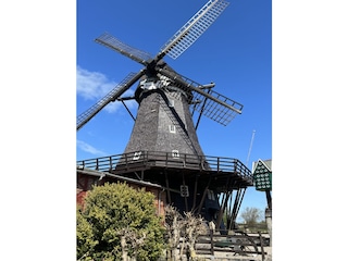 Vakantiehuis Heiligenhafen Omgeving 42