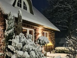 Ferienhaus Droomhuis direct aan zee