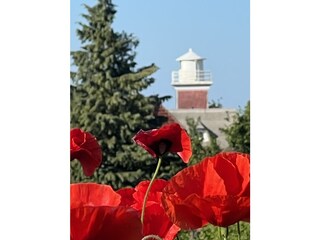 Casa de vacaciones Heiligenhafen Grabación al aire libre 9
