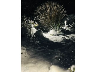 ... und der Garten zur Ruhe kommt ...