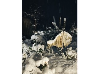 Casa per le vacanze Heiligenhafen Registrazione all'aperto 5