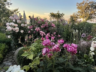 Der Garten ...