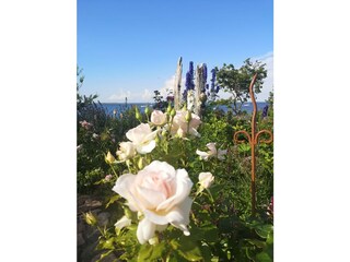 Casa de vacaciones Heiligenhafen Grabación al aire libre 11