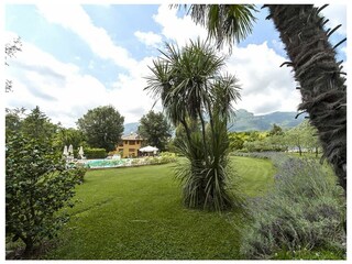 Villa Camaiore Ambiente 18