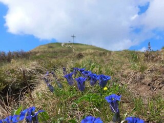 Gipfelkreuz Kuhgehrenspitze Frühling