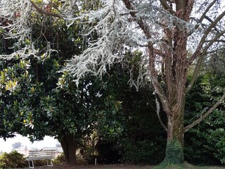 Casa per le vacanze Miazzina Registrazione all'aperto 3