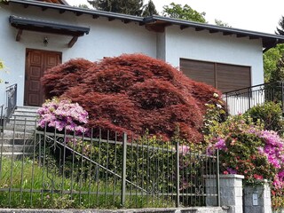 Casa per le vacanze Miazzina Registrazione all'aperto 5