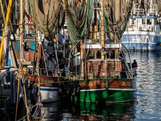 Appartement de vacances Greetsiel Environnement 33