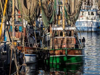 Die Krabbenkutter von Greetsiel