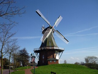 Vakantieappartement Greetsiel Omgeving 12