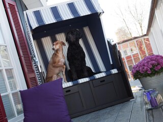 Appartement de vacances Greetsiel Environnement 35