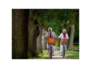 Vakantieappartement Greetsiel Omgeving 16