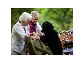 Appartement de vacances Greetsiel Environnement 36