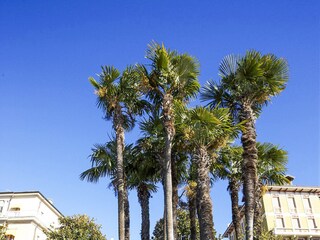 Lage an der Seeuferpromenade